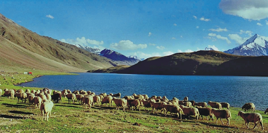 Lahaul Spiri